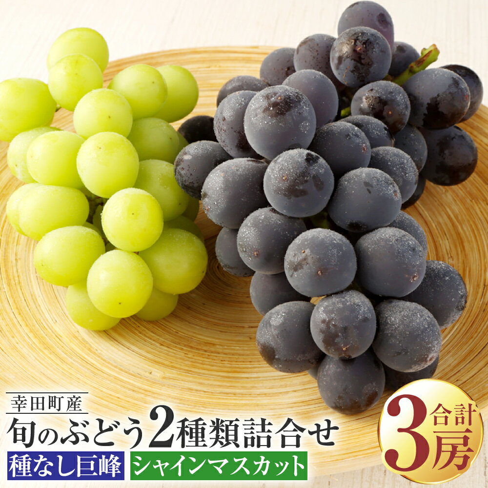 【ふるさと納税】幸田町産「ハウス栽培旬のぶどう」2種類詰合せ（種なし巨峰、シャインマスカット）合計3房 ぶどう ブドウ 種無し巨峰 シャインマスカット 果物 フルーツ お取り寄せ ※7月中旬〜8月上旬に発送予定　※着日時指定不可※北海道・沖縄・離島への発送不可※　◆