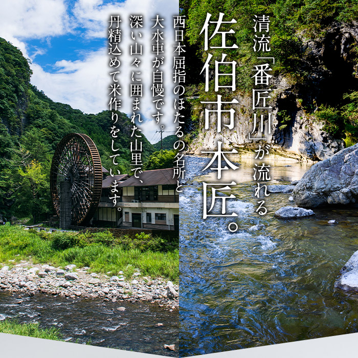 ＜令和5年産＞＜定期便・3回 (連続)＞大分ひのひかり (総量15kg・5kg×3ヶ月)米 定期便 3ヶ月 ひのひかり ヒノヒカリ 精米 白米 大分県産【AJ81】【(有)ケーキ大使館クアンカ・ドーネ