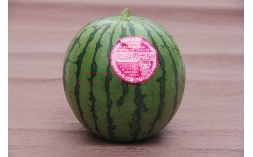 【先行予約】798.種ごと食べられる！小玉スイカ【ピノ・ガール】2玉（1玉2kg前後×2玉）※着日指定不可※離島への配送不可【西瓜 スイカ すいか 果物 フルーツ 鳥取県 北栄町 おすすめ 人気 送料無料】