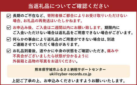 レノンメロン 約5kg（3～6玉） 秀品 優品 赤肉メロン【2025年4月下旬～5月下旬発送予定】果物 くだもの フルーツ メロン めろん