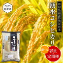 【ふるさと納税】 米 新潟県産 こしひかり 精米 5kg 10kg 20kg 特別栽培米 令和6年産 コシヒカリ 「湧水コシヒカリ」精米 したてを お届け 新潟 おすすめ 5キロ 定期便 3か月 4か月 6か月 米 お米 白米 国産 ごはん ご飯 送料無料 安心安全 ブランド 減農薬 おこめ 新潟産