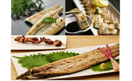 【定期便】鹿児島県大隅産　千歳鰻の 白焼鰻 「大」2尾×3回｜うなぎ うなぎ