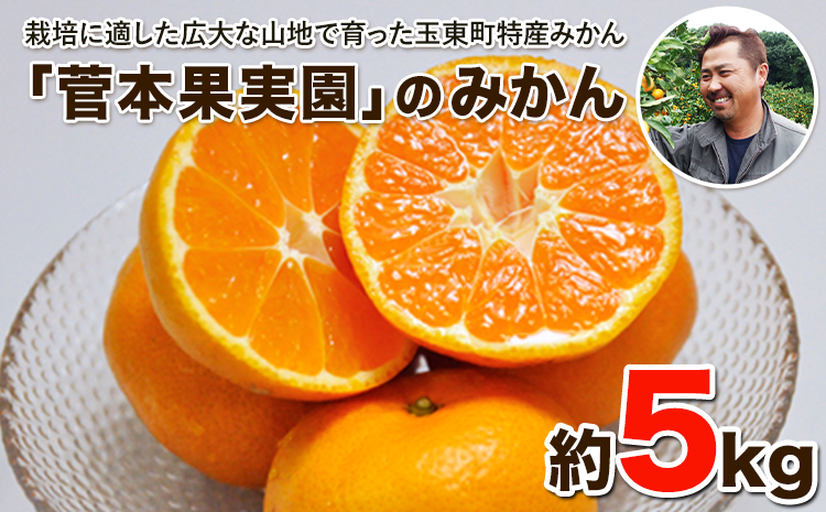 『菅本果実園』のみかん★約5kg(2S-Lサイズ) 《11月中旬-12月末頃出荷》 フルーツ 秋 旬★熊本県玉名郡玉東町 全国にファン多数！エコファーマー菅本さんのみかん♪『菅本果実園』
