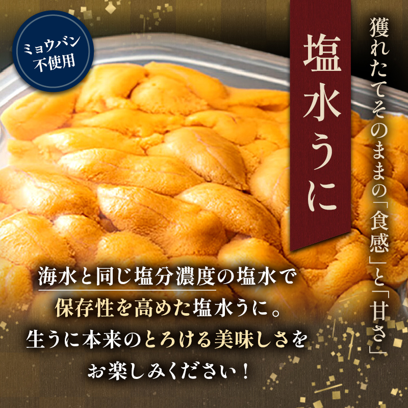 生うに塩水詰め100g×3【鮮度抜群！極上生えぞバフンうに】 ふるさと納税 うに F4F-3214