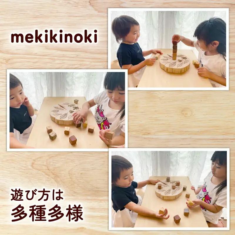 【知育玩具】ウッドデザイン賞受賞！『mekikinoki』  知育 木育 溝渕木材工業