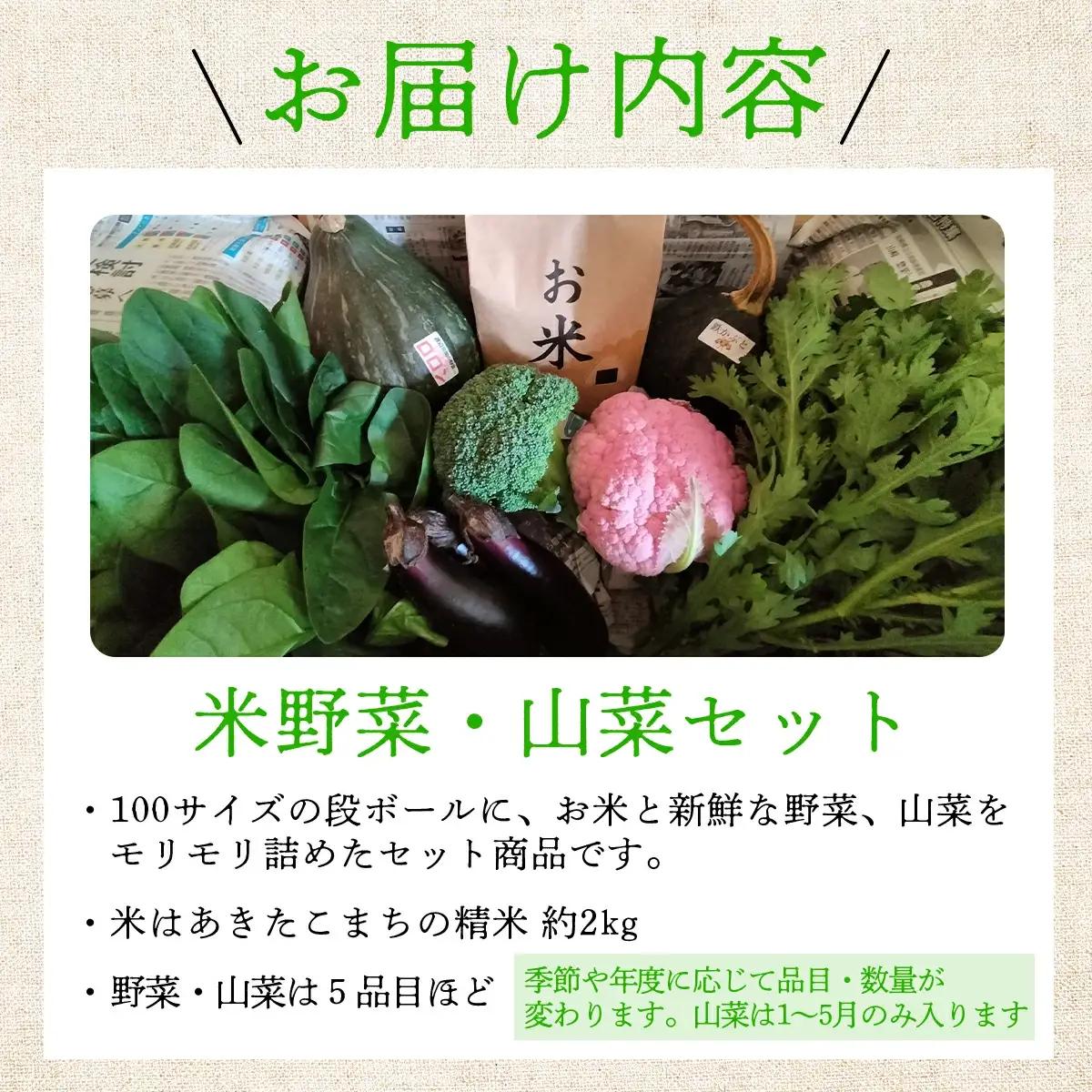 米野菜・山菜セット（5品目ほど）【115P3203】