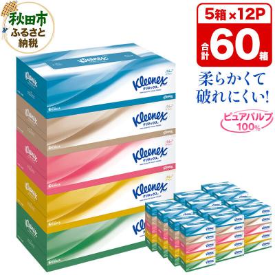 ふるさと納税 秋田市 クリネックス ティシュー 60箱 ティッシュ|15_nsc-031201