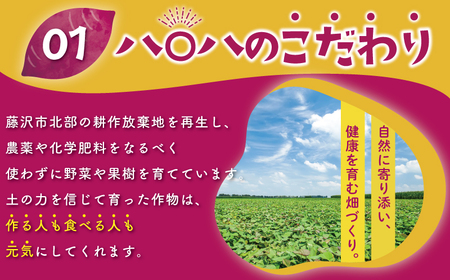 紅はるか さつまいも 9kg サイズ混合 サツマイモ 芋 産地直送
