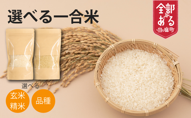 玄米 ゆきさやか 150g 北海道米 こめ 1000円台  2000円 3000円 当麻町 長谷川農園 北海道産 北海道米【B-012】