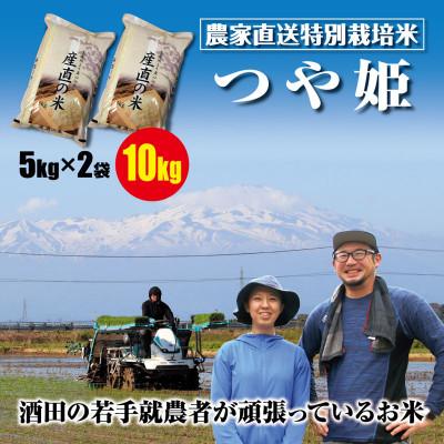 ふるさと納税 酒田市 酒田の若手就労者が頑張っているお米　特別栽培米つや姫10kg(5kg+5kg)令和7年産