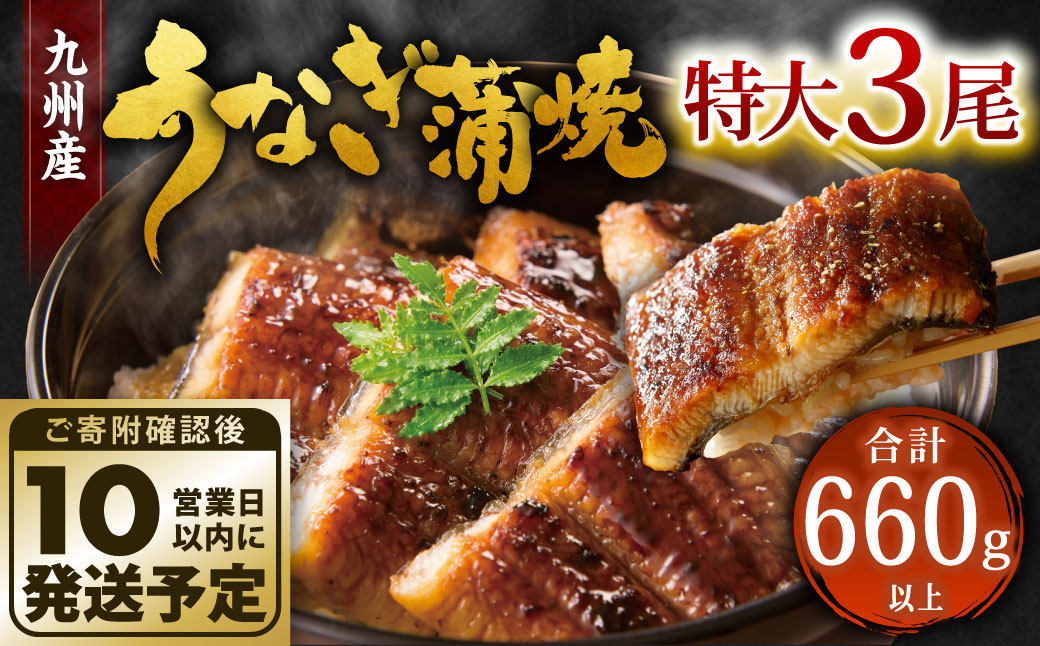 【年内配送】九州産 うなぎ 蒲焼 特大 3尾 計660g以上 (1尾あたり220～235g)