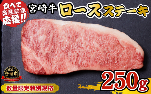 【A4等級以上】宮崎牛 ロースステーキ 250g（牛肉 黒毛和牛 畜産農家応援 ロース ステーキ 赤身 数量限定 内閣総理大臣賞）