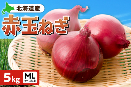 赤玉ねぎ 北海道産 5kg MLサイズ以上