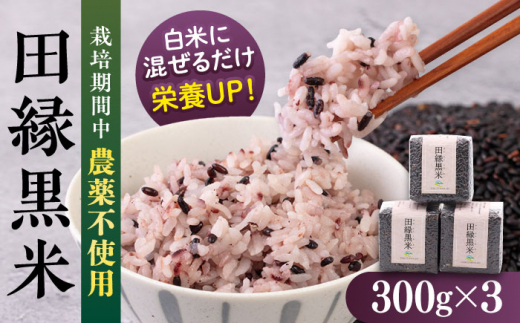 【先行受付中】 田縁黒米（でんえんくろまい）300g×3パック 【2026年12月上旬順次発送】 糸島市 / NPO法人田縁プロジェクト 古代米 黒米 米 ご飯 [ATM003]