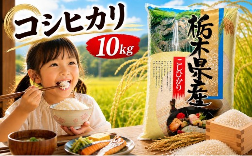 新米 令和8年度 栃木県産 こしひかり 白米 10kg （5kg×2袋） | 発送 ふるさと 納税 コシヒカリ お米 精米 白米 玄米 大粒 共通返礼品 送料無料 那珂川町 栃木県【栃木県共通返礼品】