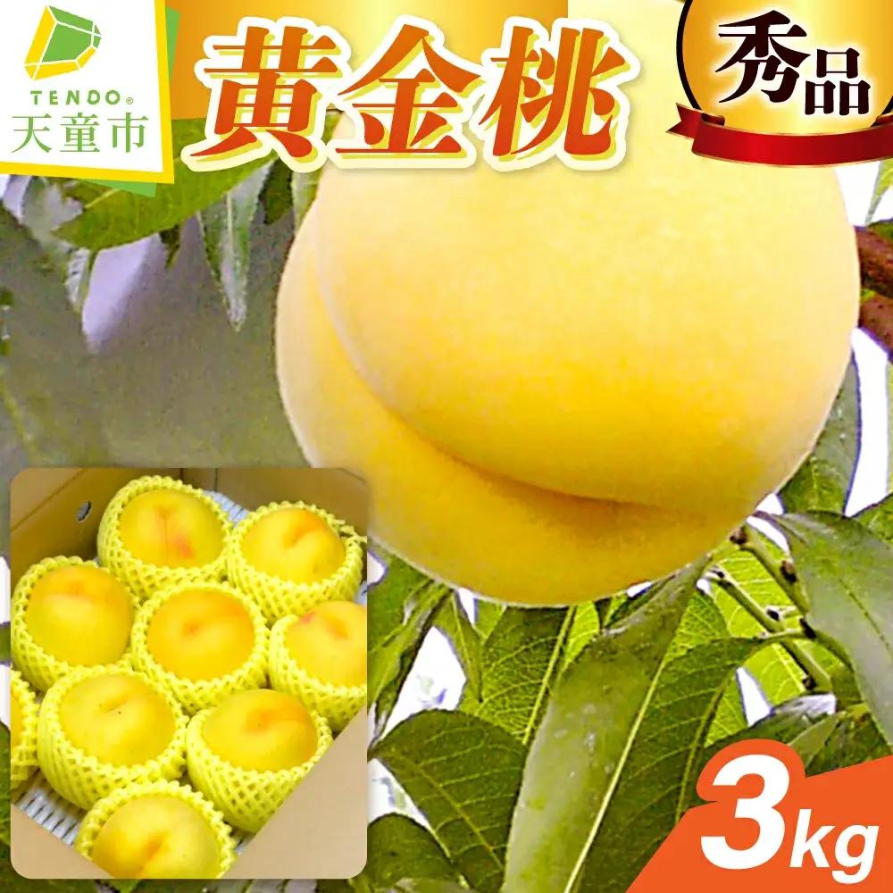 もも 黄金桃 3kg フルーツ 果物 山形 桃