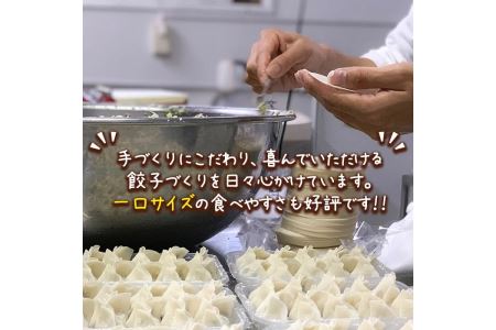 Z6-01 ＜2024年4月発送分(4月中に発送)＞手づくり黒豚にんにく餃子(計50個・10個入り×5P) 特製餃子のタレ付き！鹿児島県産黒豚肉の旨味とたっぷり野菜の相性抜群！【工房ゆう】