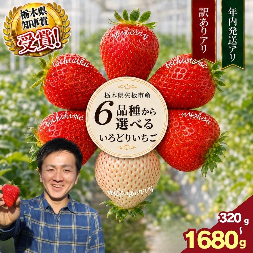 【ふるさと納税】いちご 苺 選べる 訳あり 年内発送 とちあいか スカイベリー とちおとめ ミルキーベリー 女峰 とちひめ【2027年先行予約】 | いちご イチゴ 苺 フルーツ お試し 5000円 贈答 人気 高評価 産地直送 栃木県産 栃木県 矢板市 澳原いちご農園