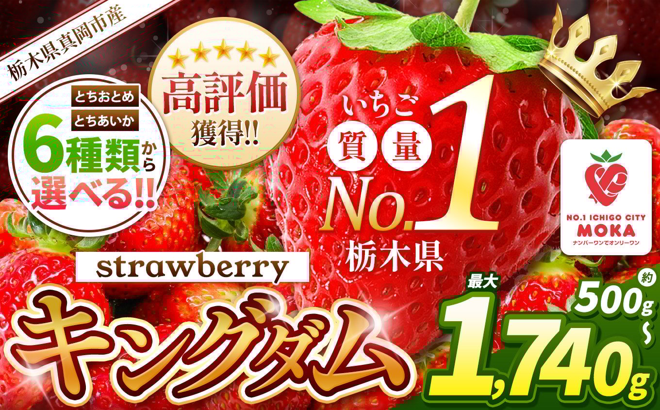 人気超上昇!! とちあいか いちご 1200g ( 4パック ) 期間限定 数量限定｜ いちご日本一 ミス苺 応援 農林水産省 最多獲得 苺 ストロベリー 人気 果物 フルーツ 真岡市 栃木県 限定品種 送料無料 1月 2月 3月発送 | 10,000円 1万円 | 大小混合 サイズ 小分け