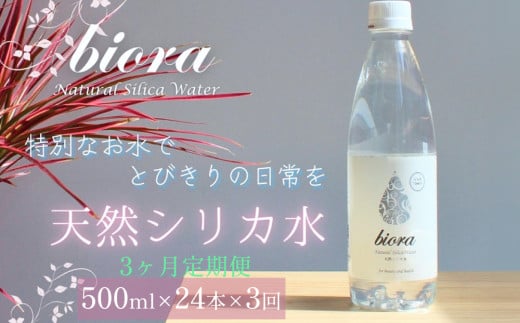 biora天然シリカ水 500ml×24本×3回 定期便 天然水 シリカ水 軟水 ミネラル 美容 健康 玖珠町 大分県 九州 自然 防災 備蓄 安全 人工添加物なし 72mg/ℓ 含有 3ヶ月 美しい水 継続 吸収 効率 健康志向