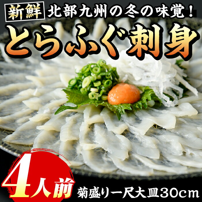 【ふるさと納税】とらふぐ刺身(4人前) 菊盛り一尺大皿30cm ふぐ フグ 本ふぐ ふぐ刺し ふぐ皮 てっさ もみじおろし 高級 お祝い ギフト 贈り物 贈答用 ギフト 冷凍【マル五】