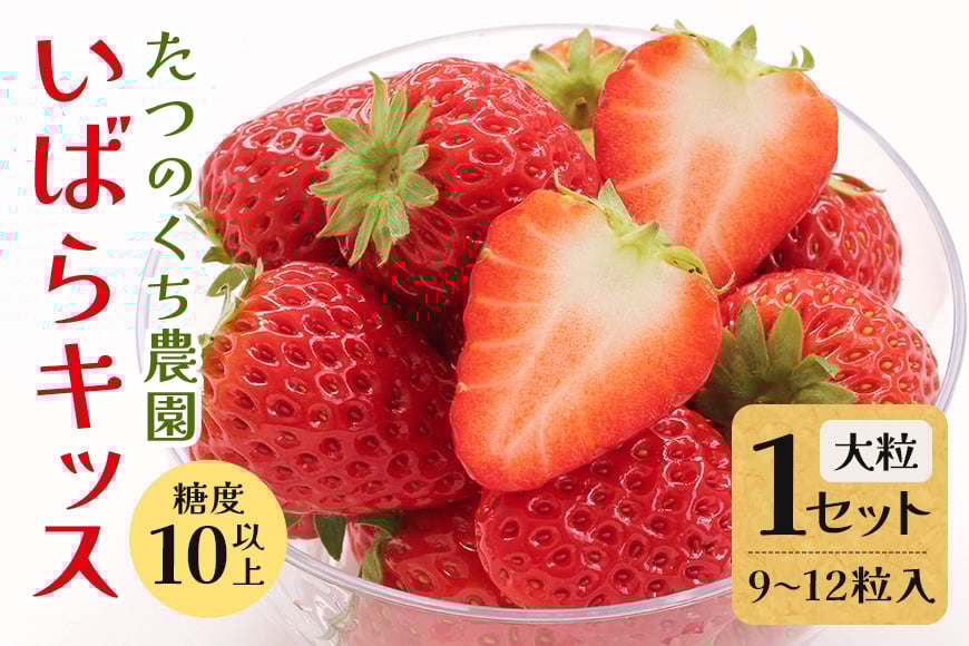 
                  いばらキッス1セット（大粒9～12粒） いちご イチゴ 苺 旬 フルーツ 青果 果物 デザート 茨城 冷蔵 【たつのくち農園】【ho1464】
                