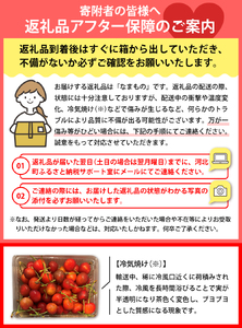 ※2025年発送※【令和7年産】朝採り＆当日出荷！イチ押し農家さんの朝採りさくらんぼ「佐藤錦」秀品 1kg（500g×2パック）バラ詰め 山形県河北町産【河北町観光協会】