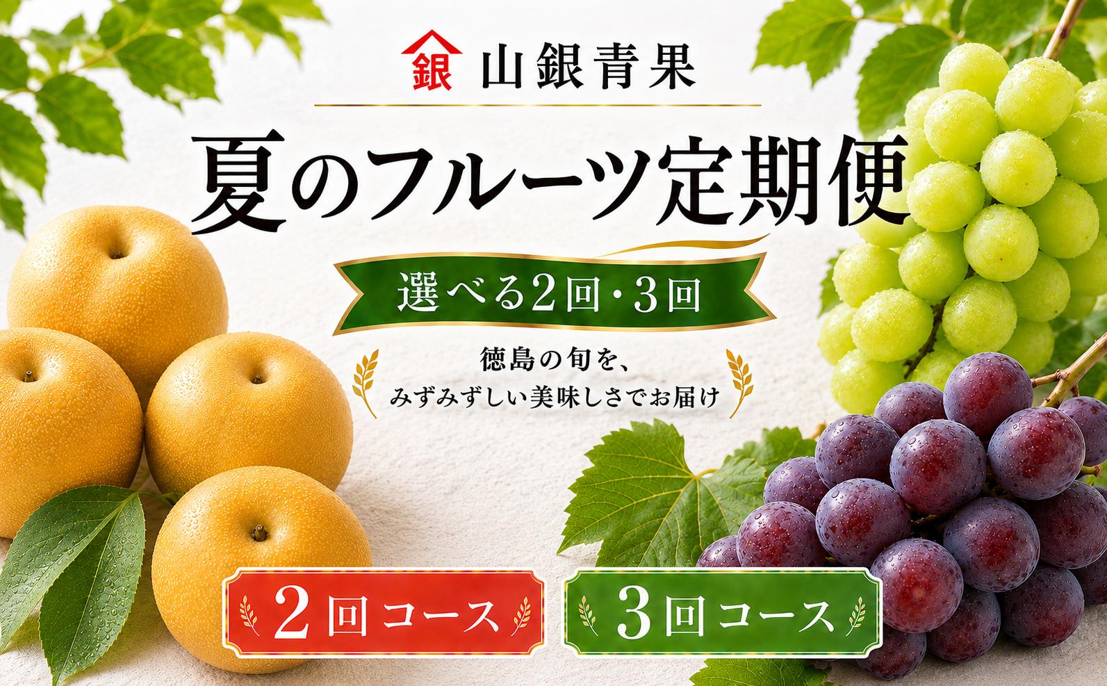 
                  フルーツ 定期便 2～3回 フルーツ定期便 果物 季節 旬 詰め合せ 国産 おまかせ 産地直送 シャインマスカット ピオーネ 梨 徳島県 徳島 山銀青果
                