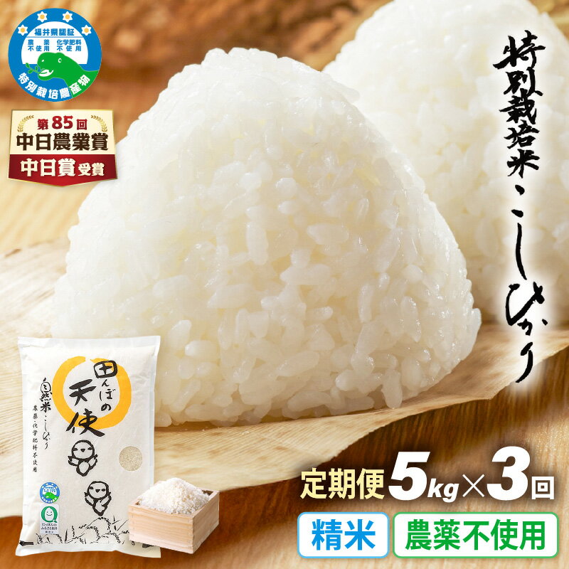 【ふるさと納税】【中日賞受賞】《3ヶ月定期便》農薬不使用 こしひかり 5kg×3ヶ月連続 計15kg 特別栽培米コシヒカリ【精米】福井県認証区分1取得「田んぼの天使」越前町 【コシヒカリ 精米 こしひかり 5キロ お米 コメ 米 農薬化学肥料不使用 福井県 越前町】