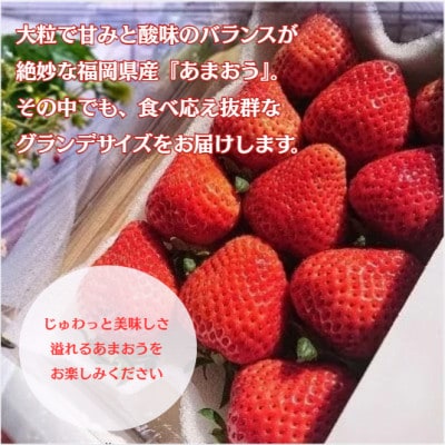 【2027年2月より順次発送】あまおう6パックセット (約250-270g×6パック)(宇美町)【配送不可地域：離島】