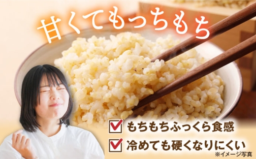  滋賀県 湖北のミルキークイーン 30kg (玄米)　米 お米 ご飯 ごはん ゴハン おにぎり 炊き込みご飯 人気 おすすめ
