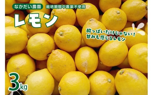 【2025年12月～発送】栽培期間中農薬不使用「レモン」約3kg ku033-001-25