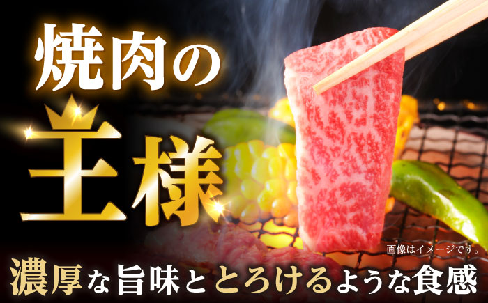 【6回定期便】焼肉 上 カルビ 500g / 長崎和牛 A4～A5ランク キャンプ BBQ バーベキュー / 諫早市 / 野中精肉店 [AHCW053]