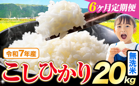 【6ヶ月定期便】令和7年産 無洗米 こしひかり 20kg 《お申込み翌月から出荷》 