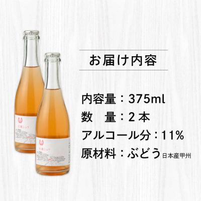 ふるさと納税 糸島市 【糸島マスエワイナリ】 牡蠣シュワ 2本 糸島市/いとしのいとしま[AEP003] |  | 03