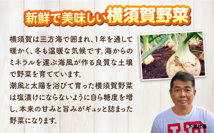 横須賀野菜ドレッシング特濃たまねぎ 400ml×2本・アンチョビガーリックマヨネーズ【有限会社たのし屋本舗】 [AKAE030]