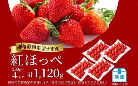 期間限定 富士市産 いちご 紅ほっぺ 約280g×4p 朝どれ 新鮮いちご 糖度が高い 甘み 香り 凝縮 酸味 ジューシー ほっぺが落ちる 人気 果物 フルーツ 旬 ギフト 贈り物 【配送不可地域：沖