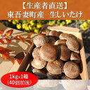 【ふるさと納税】生椎茸 約1kg ×1箱 (40個前後) 野菜 きのこ しいたけ 椎茸 群馬県 キノコ 群馬県産 東吾妻町産 国産　 日本産 食材 国産椎茸 歯ごたえ 肉厚 鍋物 旨味 具材 鍋の具材 　お届け：2024年10月1日～2025年5月31日まで