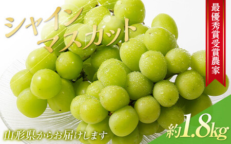 【令和8年産先行予約】 【山形県ぶどう品評会 最優秀賞受賞農家】 シャインマスカット 約1.8kg (3房入り 秀) 《令和8年9月中旬～発送》 『青木農園』 山形県 南陽市 [2027-R8]