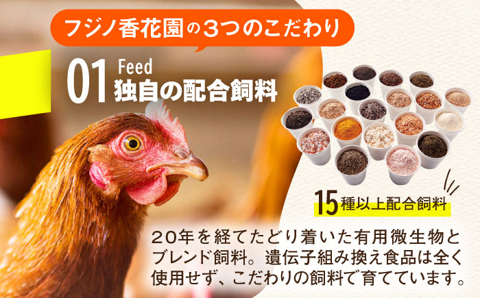 【全6回定期便】【TVで紹介！】鮮度ＡＡ級の世界最高ランク！金太郎卵 平飼い たまご 30個（6個×5パック）＜有限会社 フジノ香花園＞那珂川市 [GAM018]