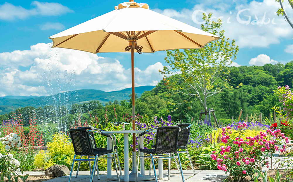 余市町産ぶどうを使用した 赤ワイン ピノ･ノワール 750ml OcciGabi Winery 北海道 余市 ぶどう お酒 ワイン 葡萄酒 果実酒 複雑な味 深い味わい お魚料理 お肉料理 和食 お取