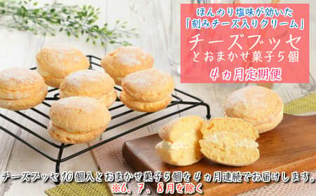 【定期便４カ月】こだわりの窯焼き「チーズブッセ」１０個入とおまかせ菓子５個×４ヵ月連続お届け