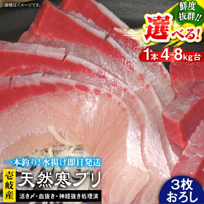 【ふるさと納税】壱岐島産 天然寒ブリ（選べる！4~8キロ台・3枚おろし） 《壱岐市》【壱岐島　玄海屋】[JBS010] ぶり 寒ぶり ブリ 魚 刺身 しゃぶしゃぶ ぶりしゃぶ 天然 処理済 4~8kg 3枚おろし 冷蔵配送