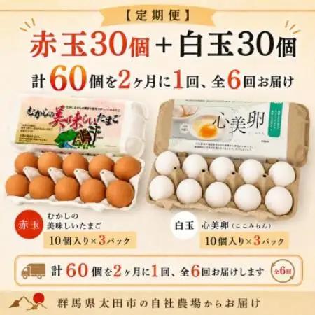 【2ヵ月毎定期便】むかしの美味しい卵・心美卵 紅白食べ比べセット 60個(各30個)全6回【配送不可地域：離島】【4091613】