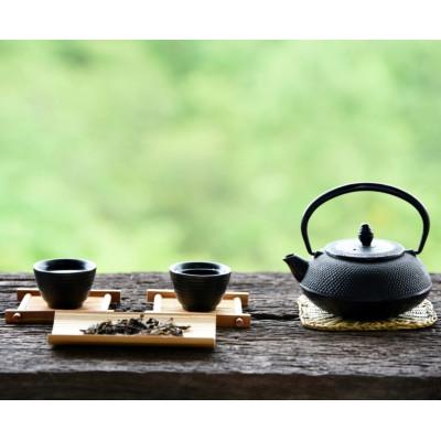 ふるさと納税 川崎町 【毎月定期便】八女茶【上】煎茶セット　100g×2袋(川崎町)全12回 |  | 02