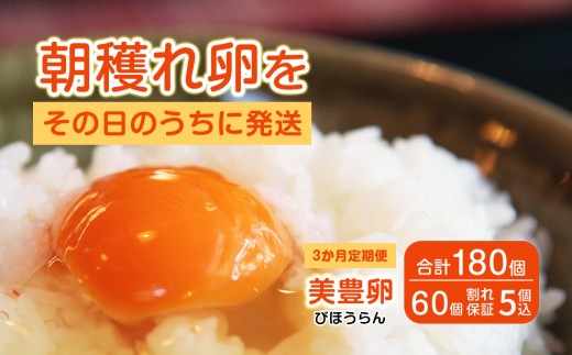 【3か月定期便】たまご 卵 美豊卵 熊福 60個 定期便 玉子 タマゴ 鶏卵 オムレツ 卵かけご飯 朝食 料理 人気 たまご焼き TKG たまごかけごはん エッグ ふるさと納税 送料無料 【四国中央市 日本一 紙のまち】