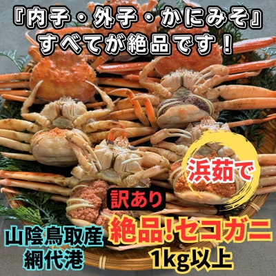 【さかなや新鮮組】鳥取県産 訳あり 浜茹で 絶品セコガニ1.0kgセット ご家庭用 漁港直送【配送不可地域：離島・北海道・沖縄県・東北・信越、北陸】
