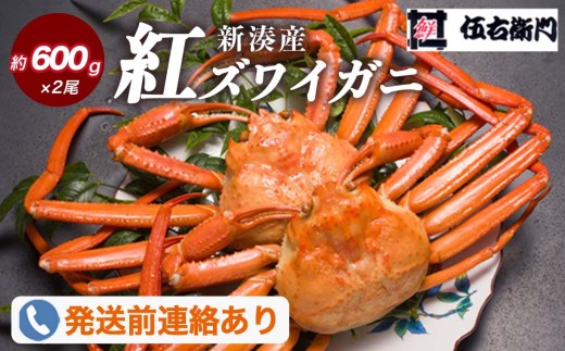 【伍右衛門】新湊産紅ズワイガニ約600g×2尾｜ずわい蟹 ずわいガニ 紅ずわいがに 紅ズワイガニ カニ 蟹 かに かにしゃぶ カニしゃぶ 蟹しゃぶ かに鍋 カニ鍋 蟹鍋 かに味噌 カニ味噌 かにみそ 魚貝類 魚介類 ボイル 海鮮 ズワイガニ 茹でたて 新鮮 国産 富山県産 富山湾 北陸 ※2026年9月～発送 ※発送まで1か月以上かかる場合があります。
