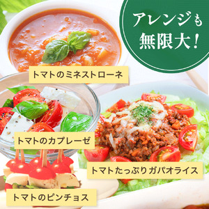 【先行予約】 和歌山県由良町産 ゆらミニトマト 2kg×1箱※2025年10月中旬頃から順次発送予定(お届け日指定不可) / ミニトマト　トマト ハウス栽培 とまと 野菜 産地直送 新鮮 由良町 和歌