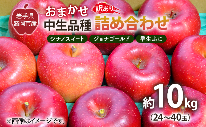 盛岡から「農で人をつなぐ」藤与果樹園：《訳アリ》おまかせ中生品種詰め合わせ（シナノスイート、ジョナゴールド、早生ふじ、ぐんま名月、もりのかがやき等から2種以上）10kg  訳アリ 不揃い 傷 規格外 フルーツ 果物 旬のフルーツ 旬の果物 旬 冬 岩手 盛岡 産地直送 玉数指定不可 詰め合わせ 岩手 盛岡
